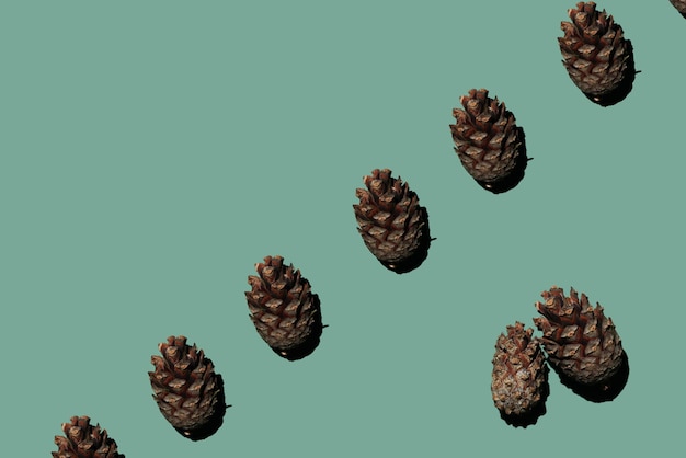 Pinecone: Innovative Vector Database Design Aims to Tackle AI Hallucinations